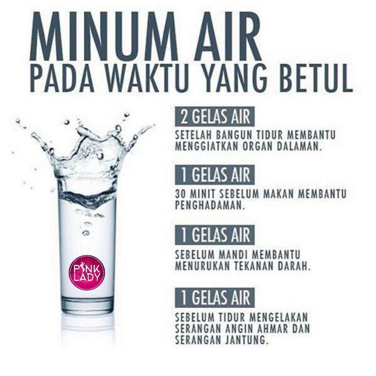 Kebaikan Dan Kelebihan Minum Air Masak Putih Kosong Pinklady Original Hq